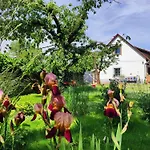 Apartment Henye Vintage A Kali-medenceben Balatonhenye