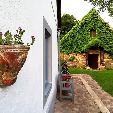 Henye Vintage A Kali-medenceben *