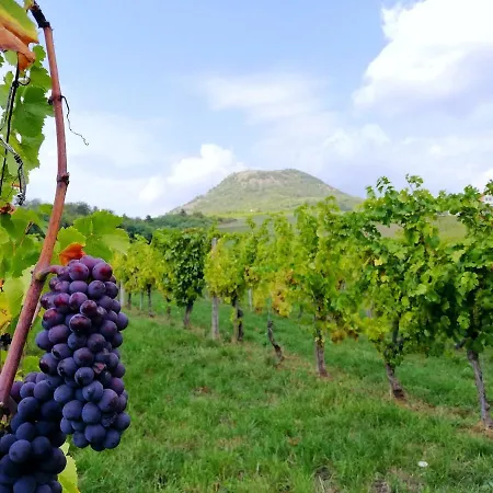 Apartment Henye Vintage A Kali-medenceben