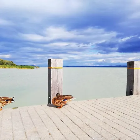 公寓 Henye Vintage A Kali-medenceben Balatonhenye