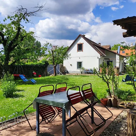 Henye Vintage A Kali-medenceben *