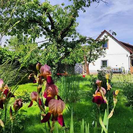 Apartment Henye Vintage A Kali-medenceben Balatonhenye