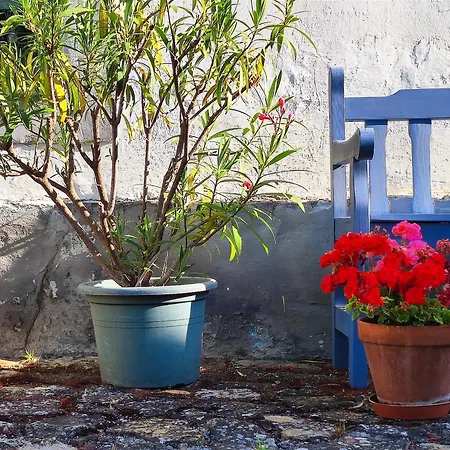 Henye Vintage A Káli-medencében Apartamento *